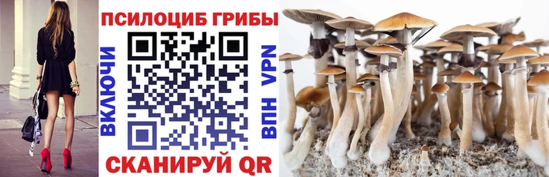 сайты даркнета Telegram  Бирюч  Галлюциногенные грибы прущие грибы  где можно купить наркотик 